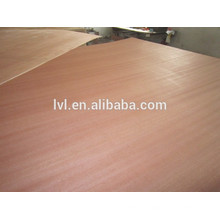 natural sapele faced plywood